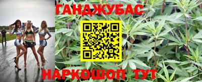 хмурый Дубна