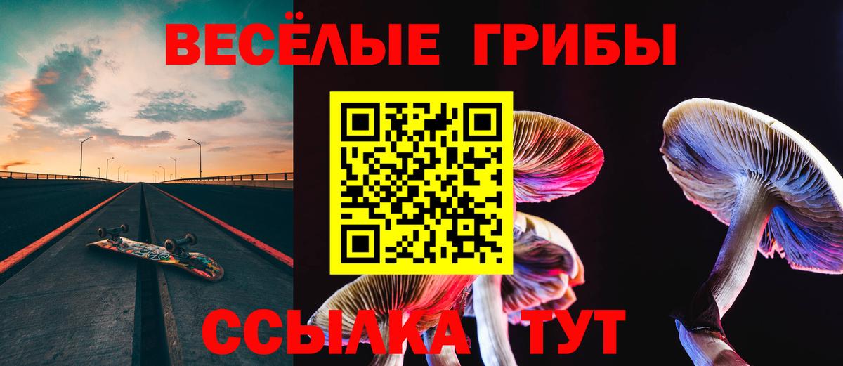 Псилоцибиновые грибы Cubensis  Вход с VPN  Лесосибирск 